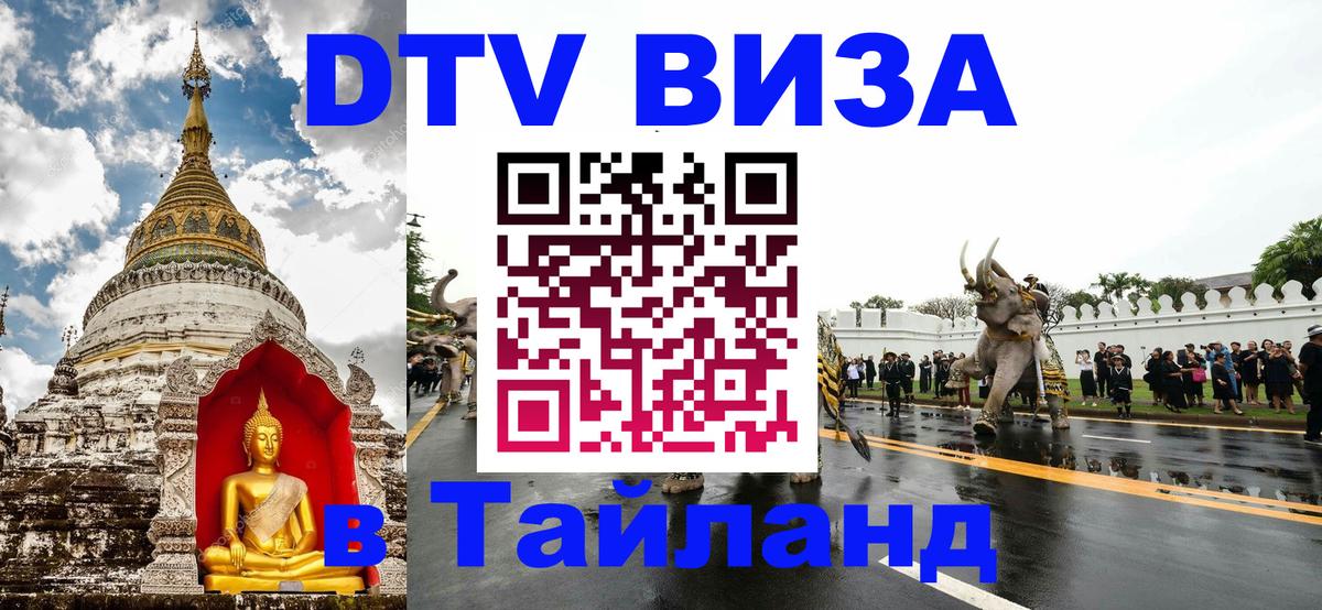 Оформление DTV визы под ключ: стоимость и тарифы, только загранпаспорт - 